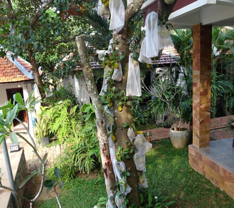 Photo of Others in Krong Kaeb