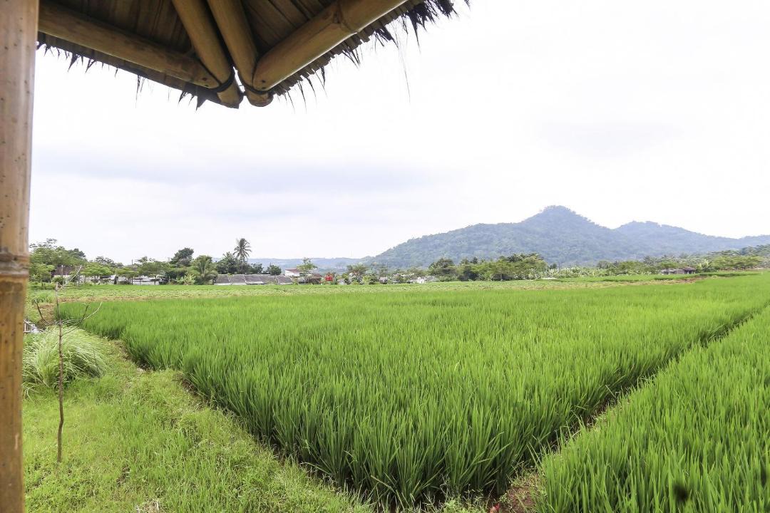 Photo of Others in Bandungan