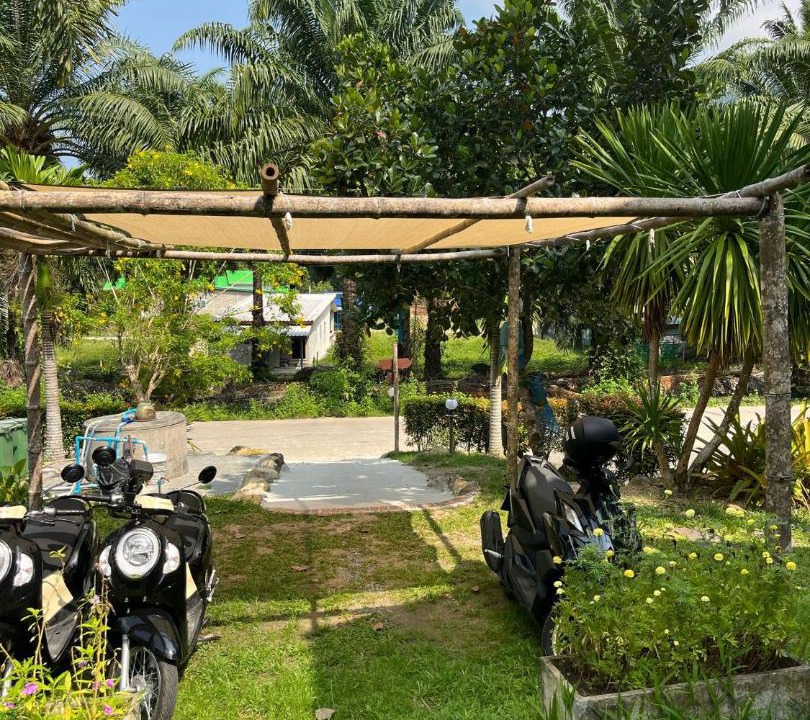 Photo of Outdoor in Thai Mueang