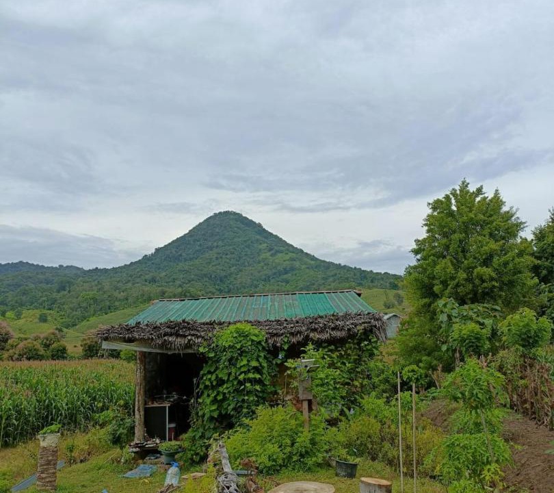 Photo of Others in Sekongkang