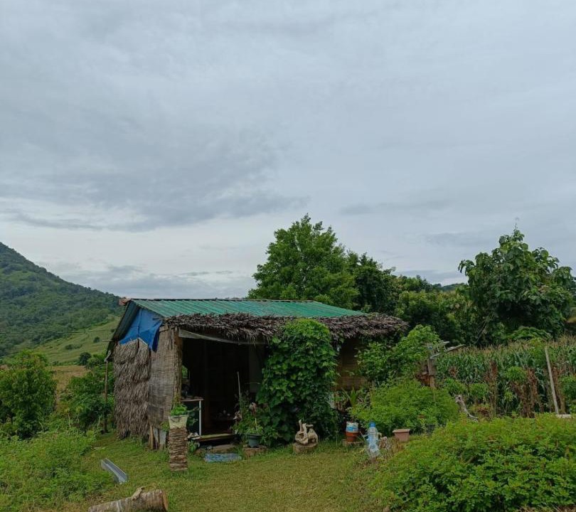Photo of Others in Sekongkang