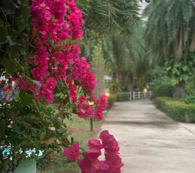 Photo of Outdoor in Chakphong