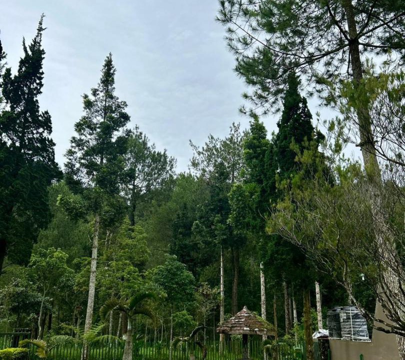 Photo of Outdoor in Karanganyar
