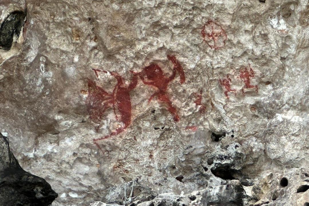 Photo of Others in Nuhu Roa
