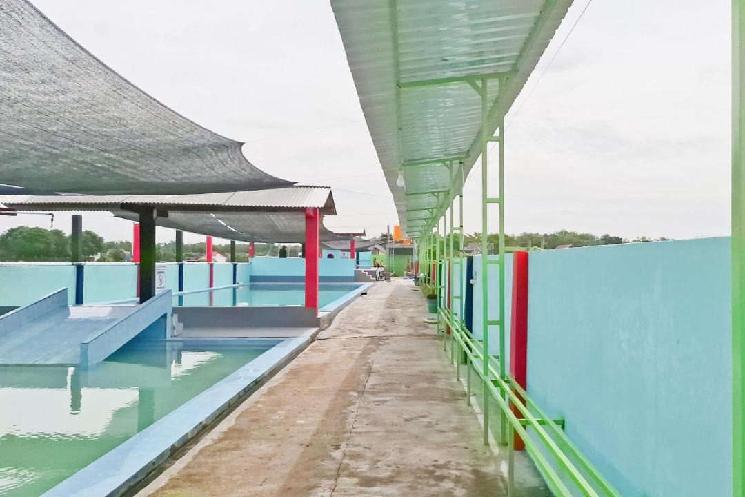 Photo of Others in Banaran