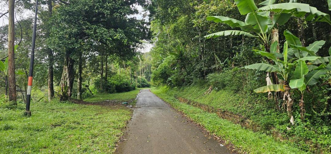 Photo of Outdoor in Pangalengan