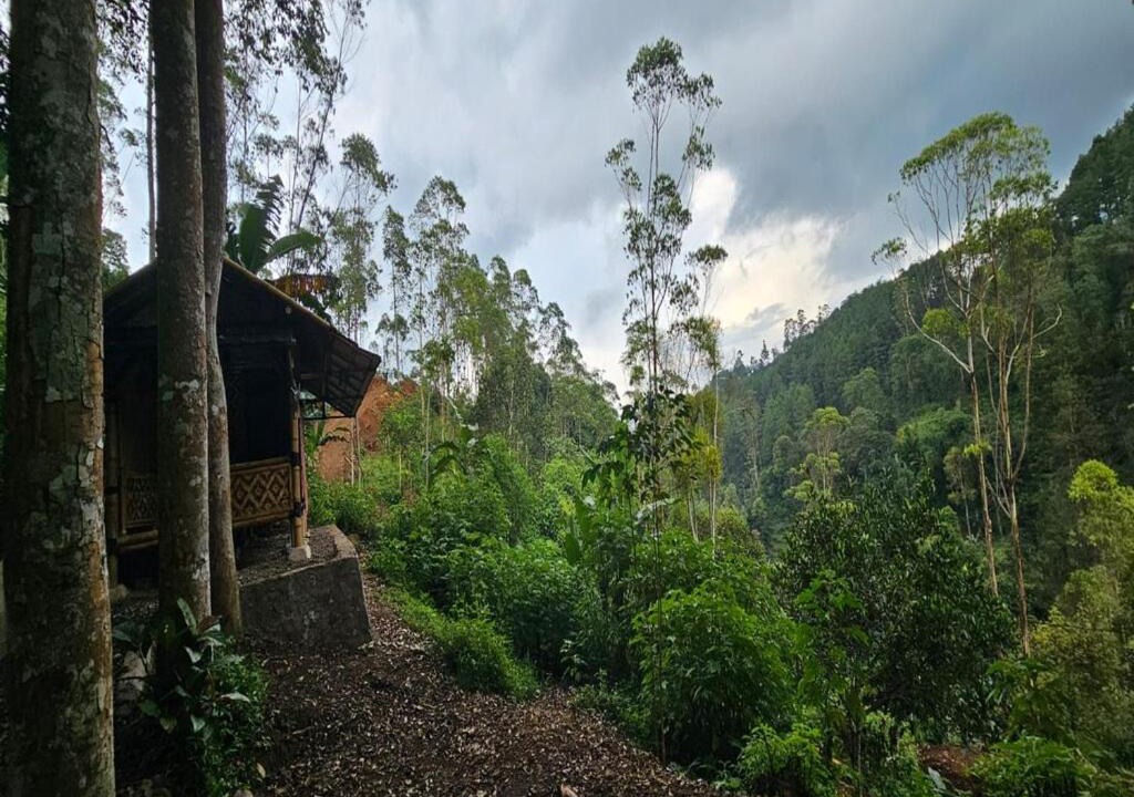 Photo of Others in Pangalengan