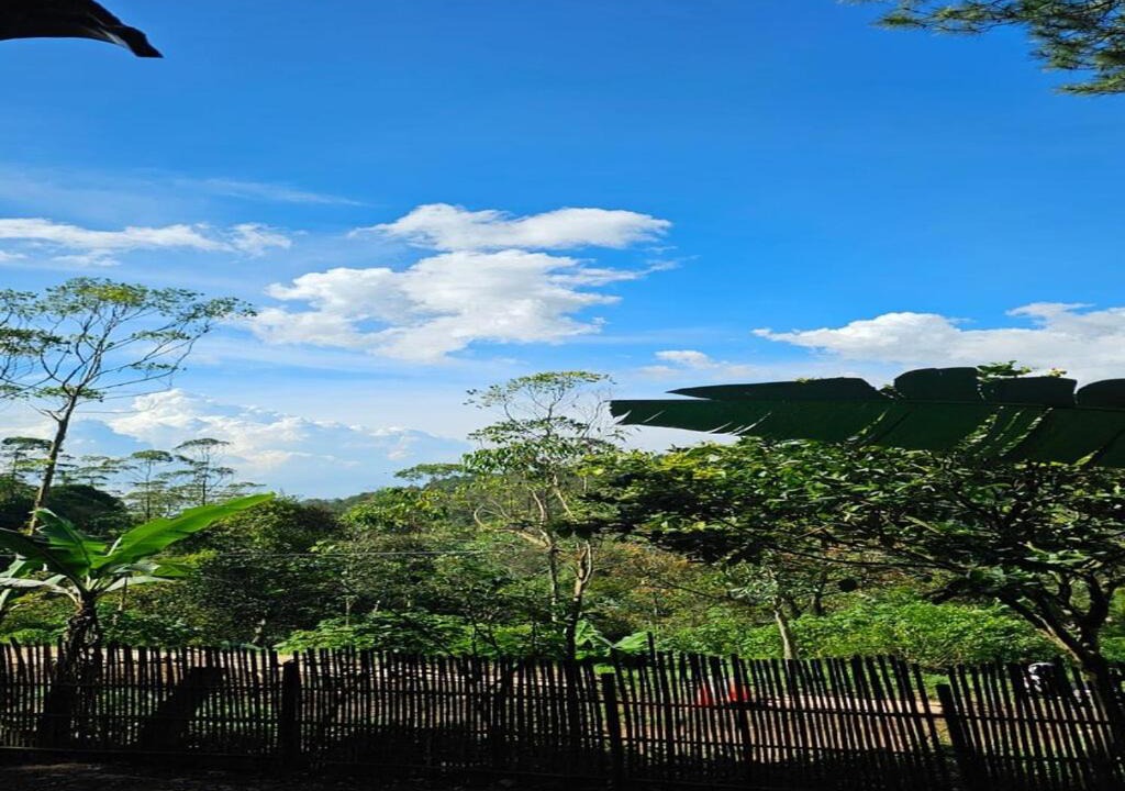 Photo of Outdoor in Pangalengan