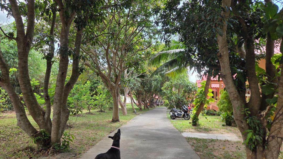 Photo of Others in Plai Laem