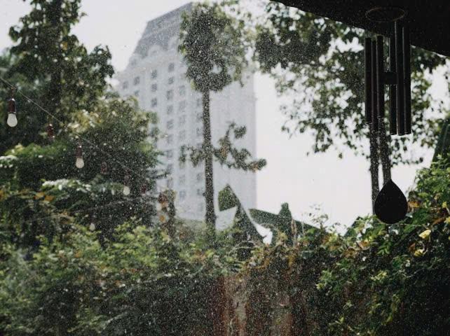 Photo of Others in Tay Ninh