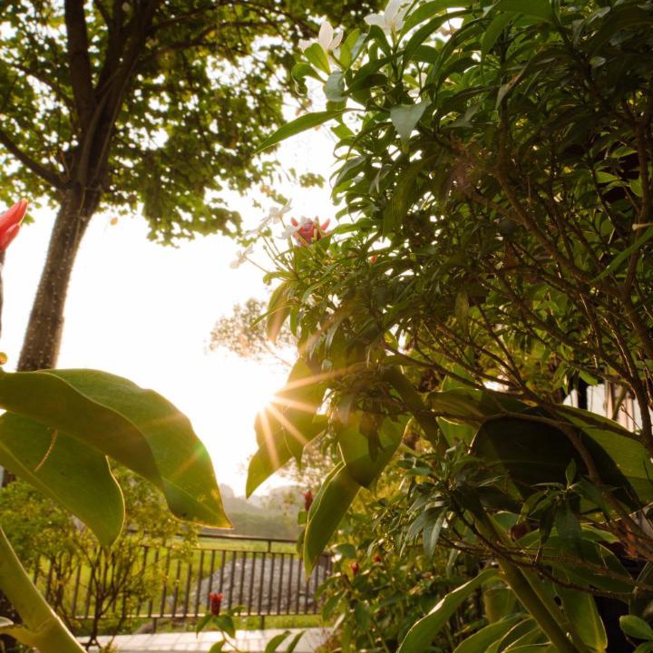 Photo of Others in Hoa Lu