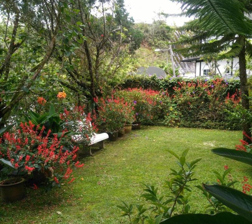 Photo of Others in Tanah Rata