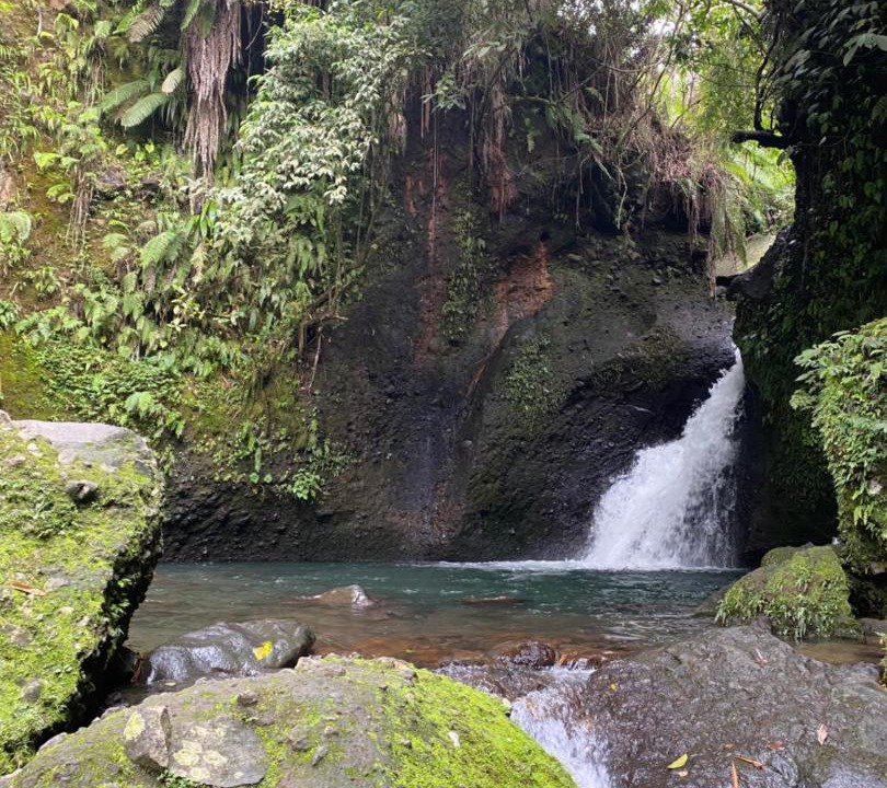 Photo of Others in Tetebatu