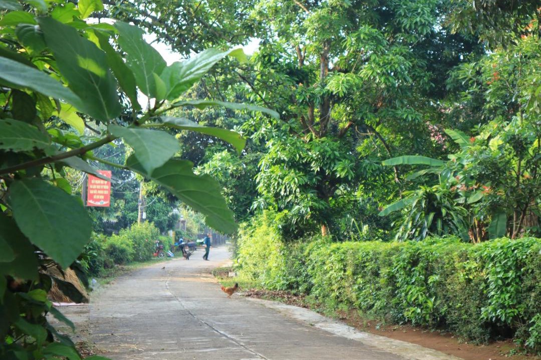 Photo of Others in Vinh Linh