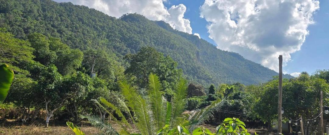 Photo of Others in Chiang Dao