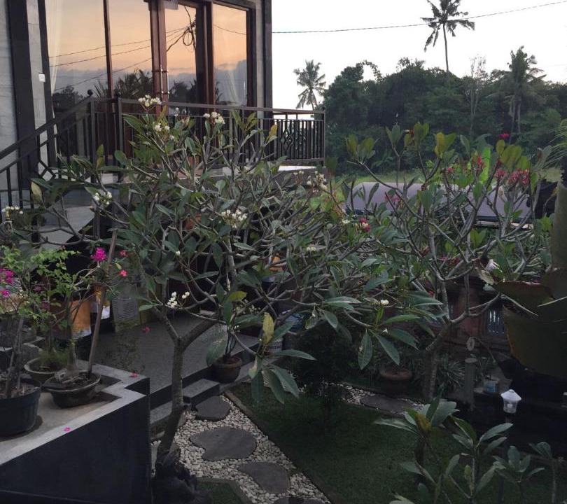 Photo of Others in Ubud City-Centre