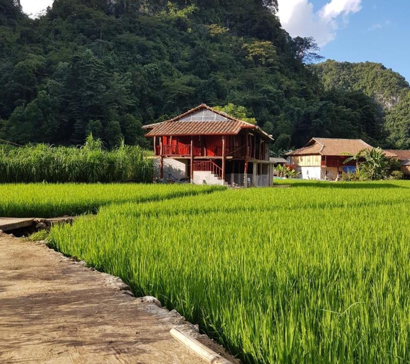Photo of Others in Quang Uyen