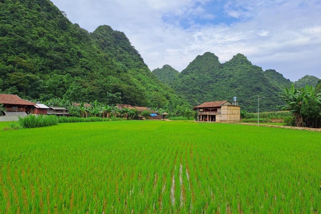Photo of Others in Quang Uyen