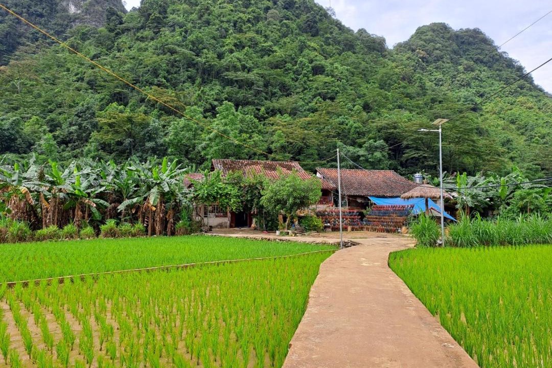 Photo of Others in Quang Uyen