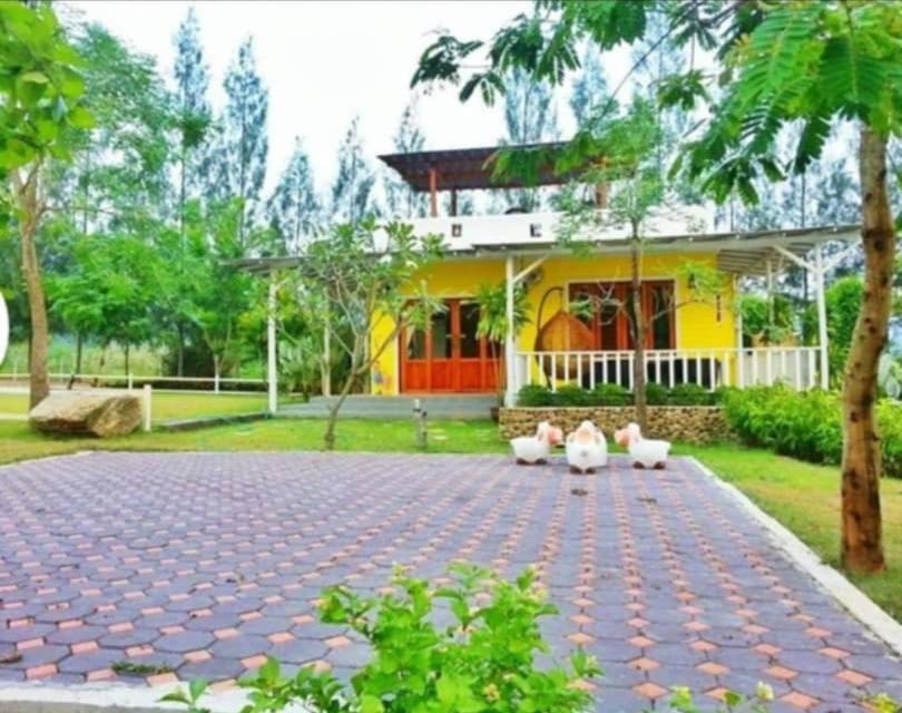 Photo of Others in Suan Phueng