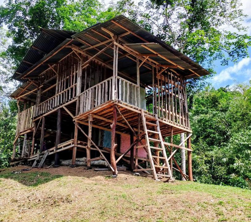 Photo of Others in Bukit Lawang