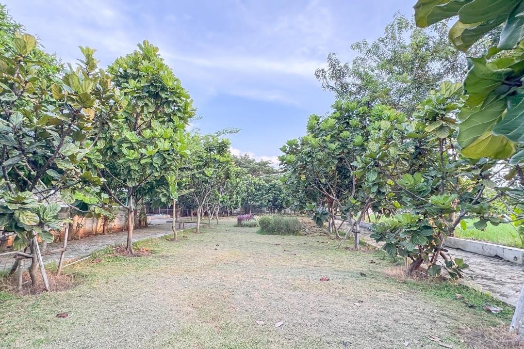Photo of Outdoor in Indramayu