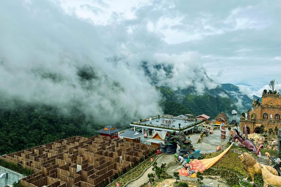 Photo of Others in Tam Duong