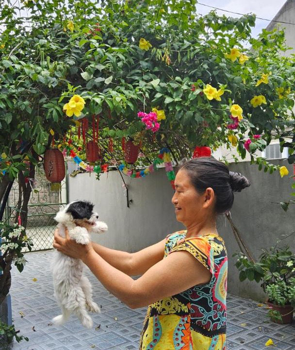 Photo of Others in Gia Vien