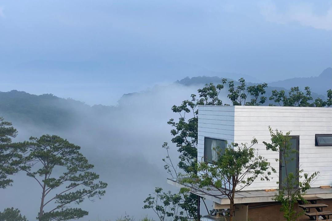 Photo of Others in Lac Duong