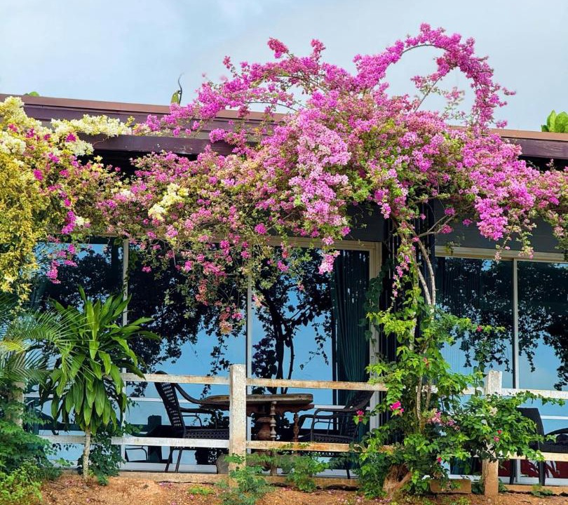 Photo of Others in Phangnga