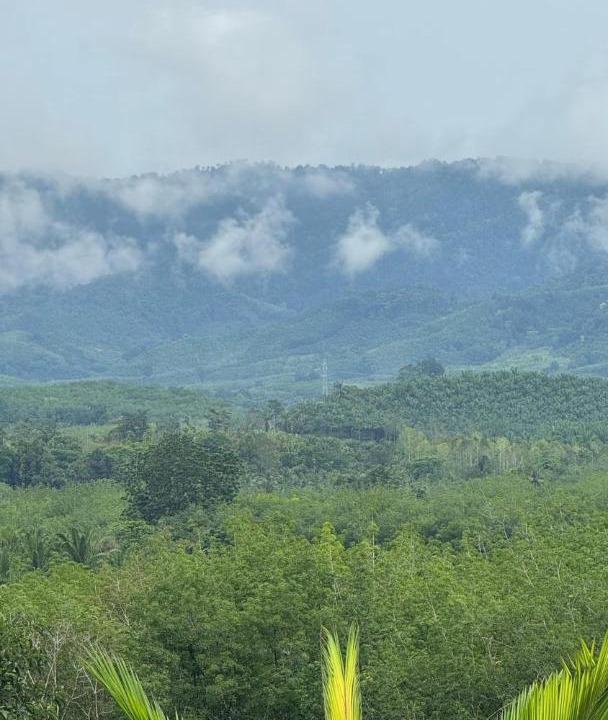 Photo of Others in Phangnga