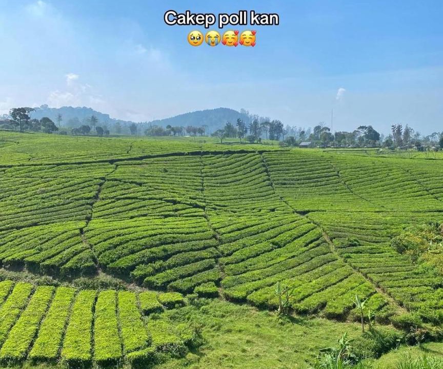 Photo of Others in Pangalengan
