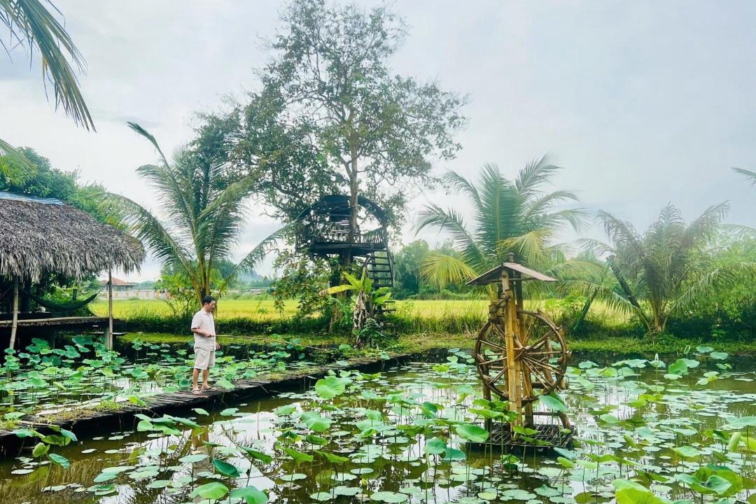 Photo of Others in Phuoc Tan