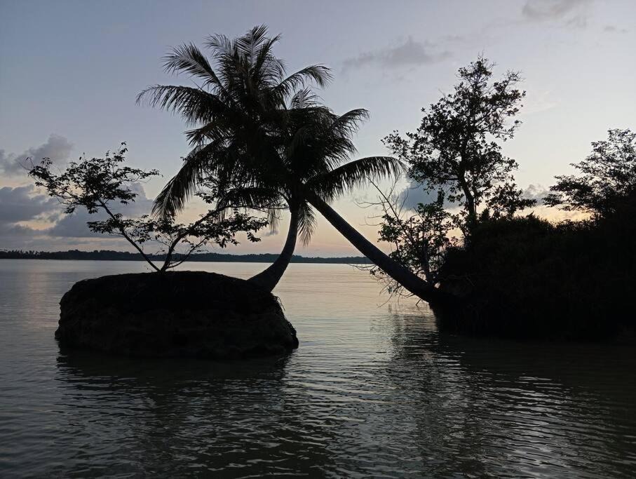 Photo of Others in Kepulauan Banyak