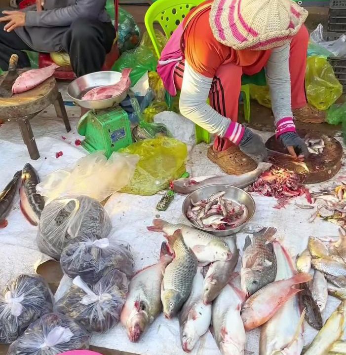 Photo of Others in Kratie