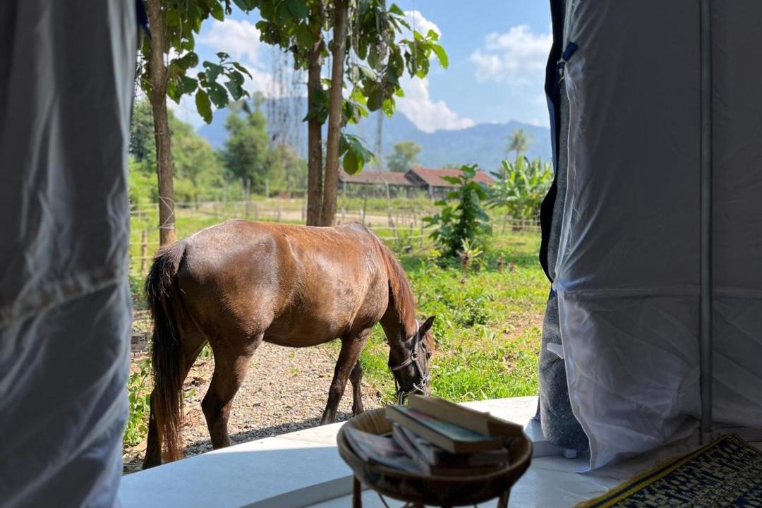 Photo of Others in Luang Prabang