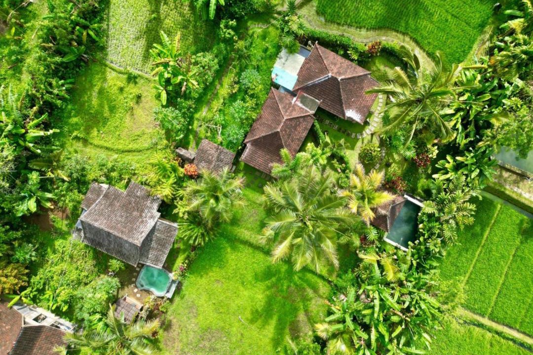 Photo of Others in Sebatu