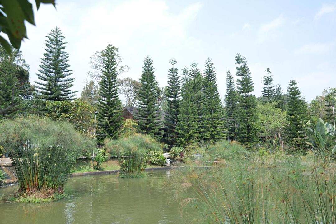 Photo of Outdoor in Gadog