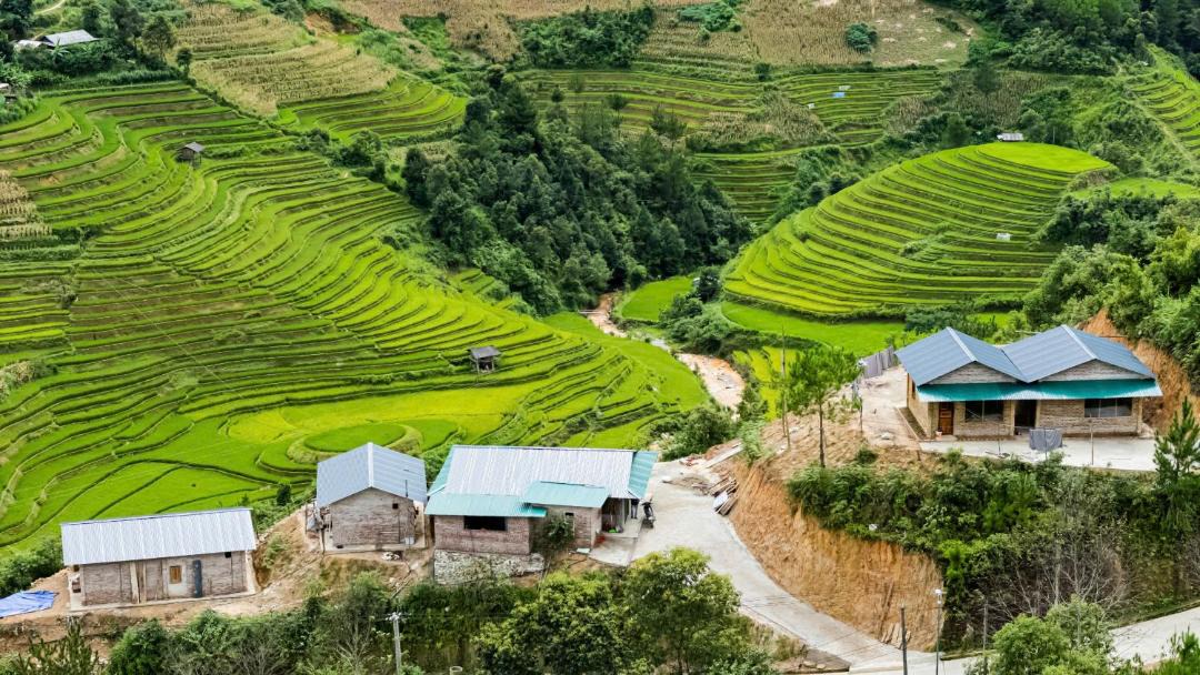Photo of Others in Mu Cang Chai