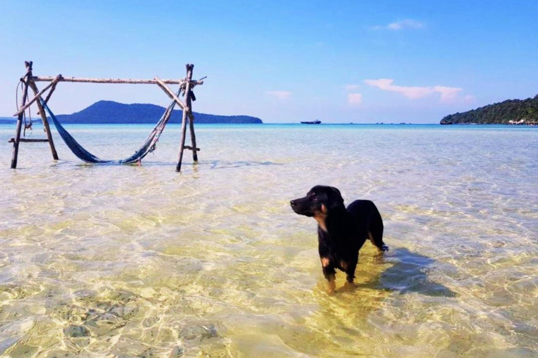 Photo of Others in Koh Rong Sanloem