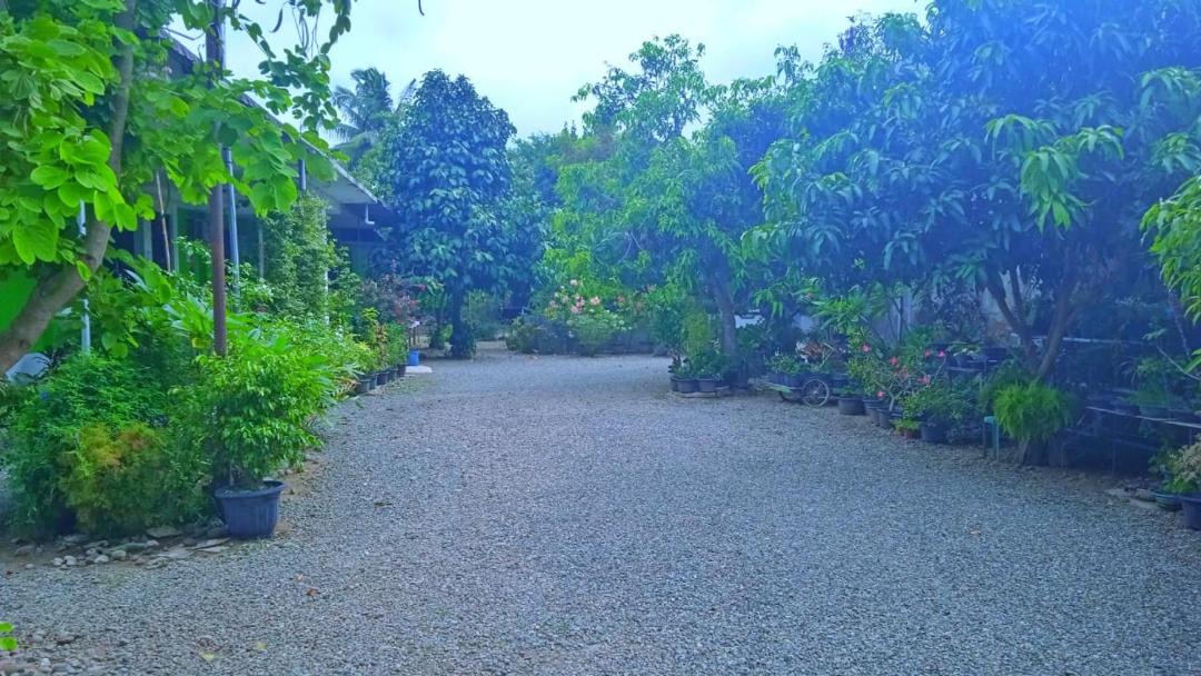 Photo of Outdoor in Pidie Jaya