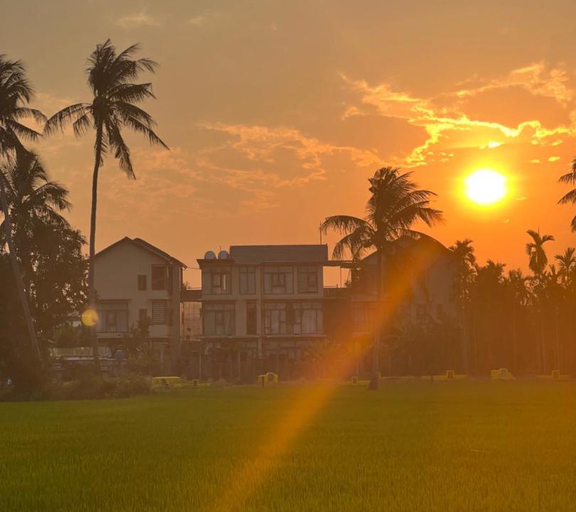 Photo of Others in Cam Chau