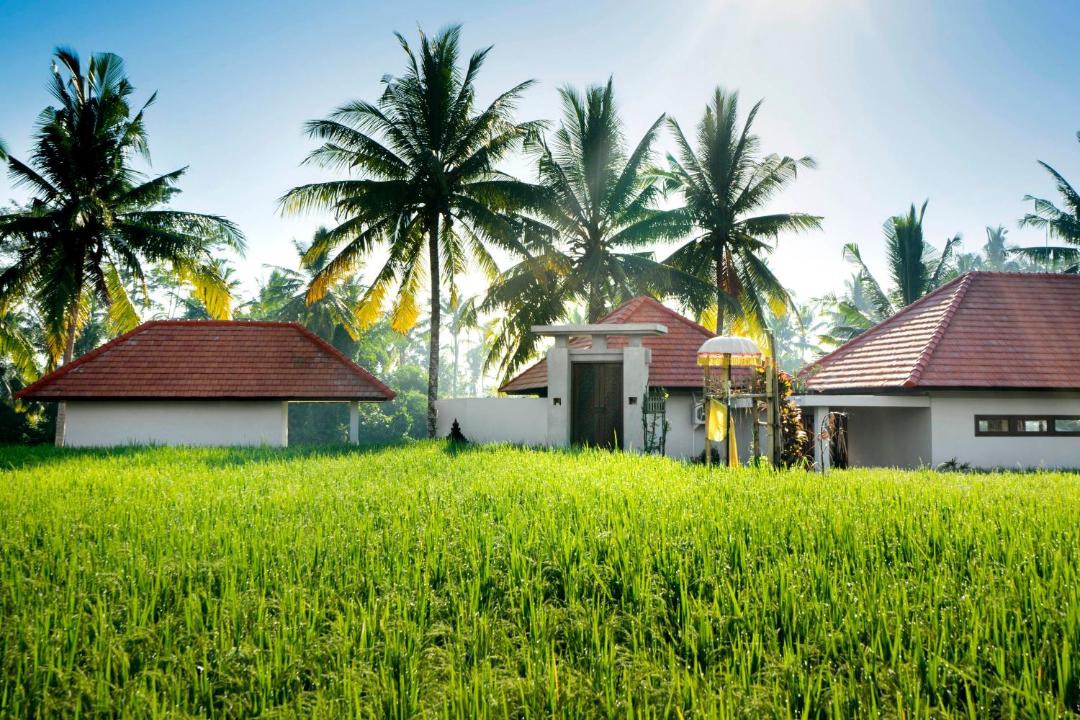 Photo of Buildings in Andong