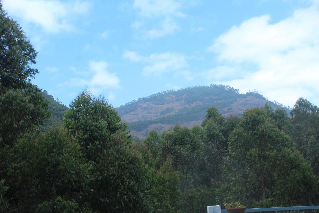 Photo of Others in Periyur