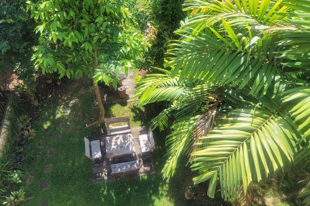 Photo of Others in Chiang Rai