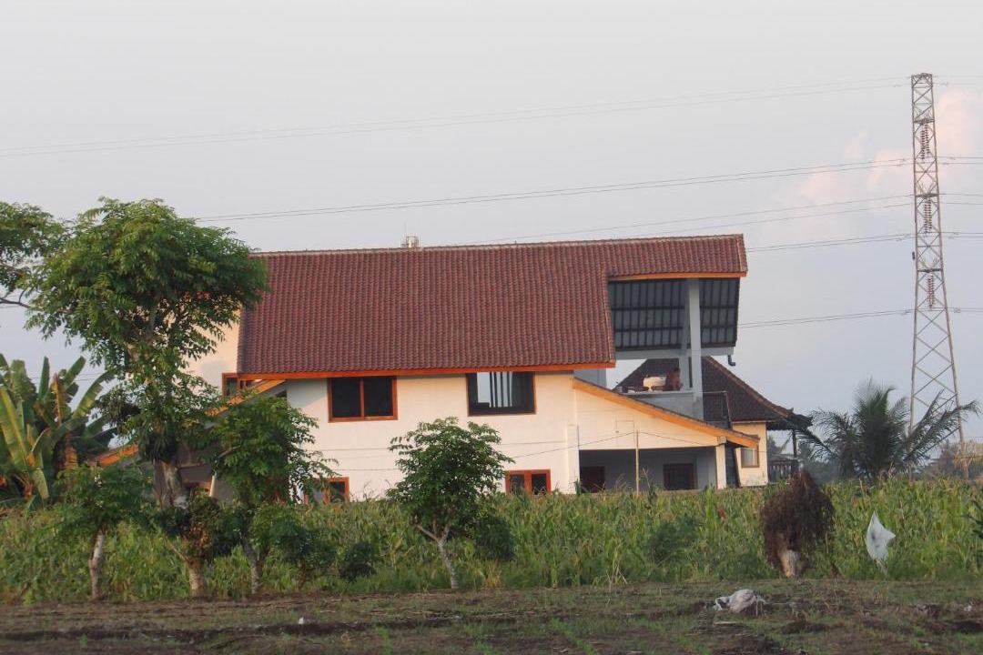 Photo of Others in Medewi