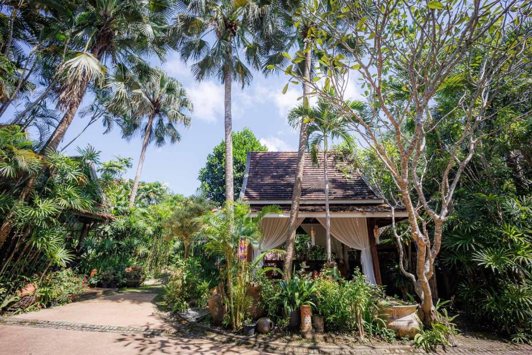 Photo of Others in Chiang Dao