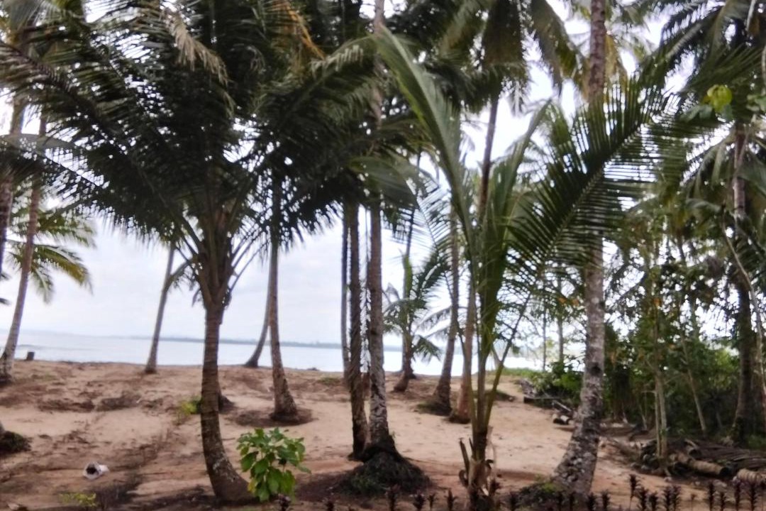 Photo of Others in Pulau Masokut