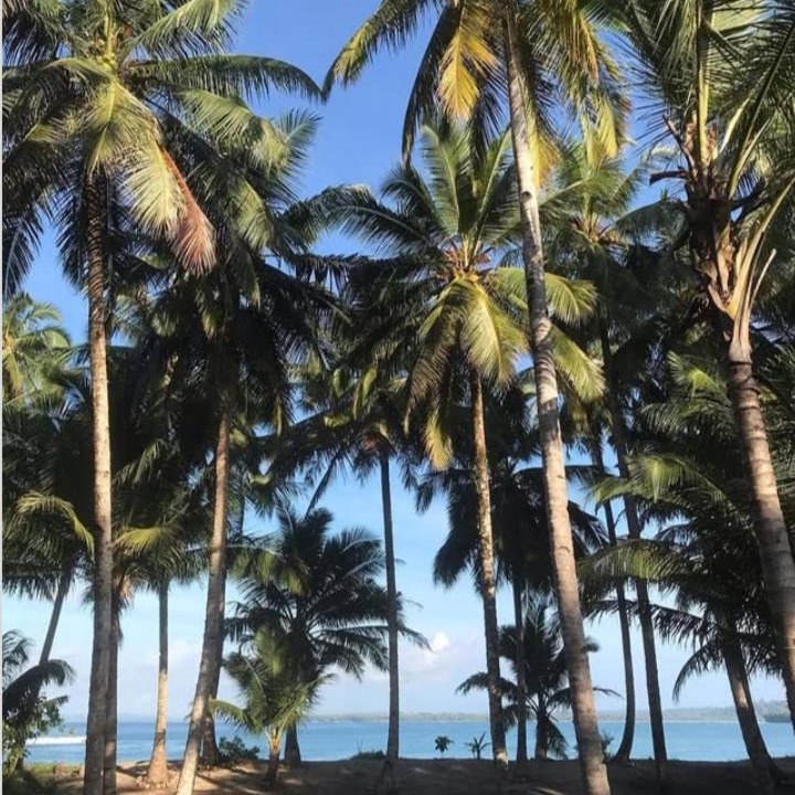 Photo of Others in Pulau Masokut
