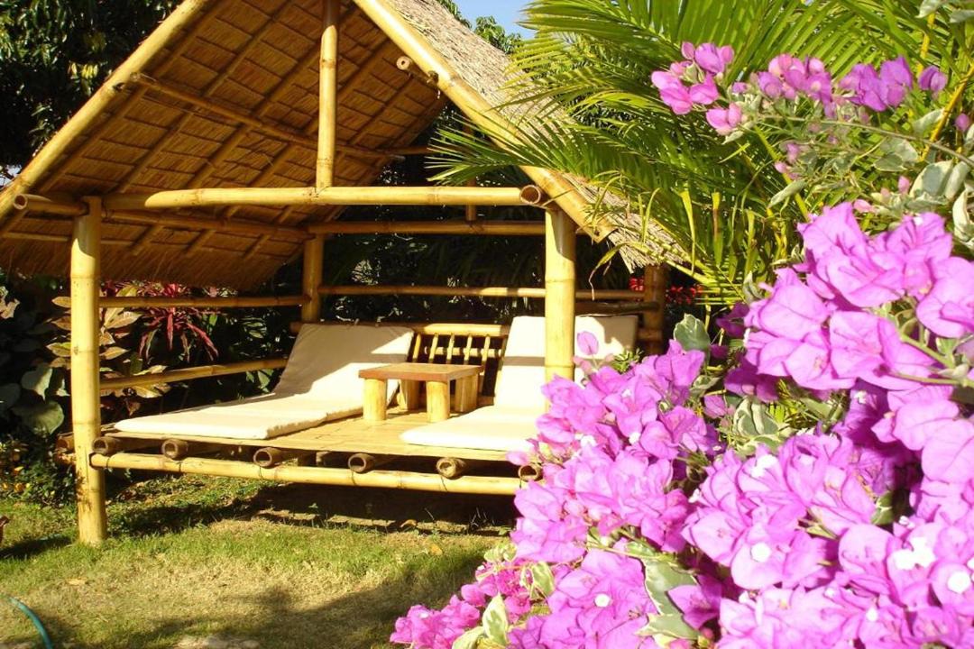Photo of Others in Mae Ai